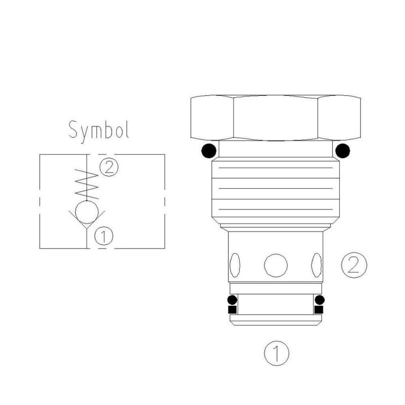 Ball Type Check Valve CV08-20