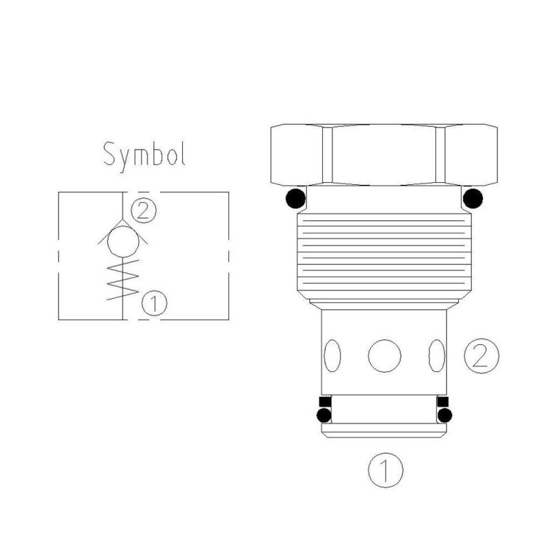 Poppet Type Check Valve CV10-24